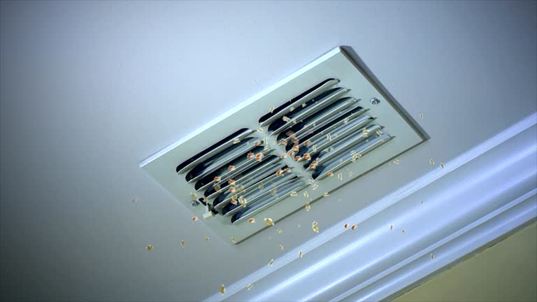 Best Air Duct Cleaning Near Me  in Bally, PA