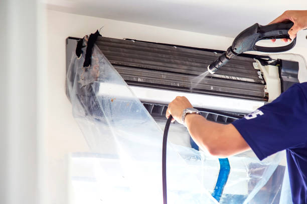 Air Duct Mold Removal in Bally, PA